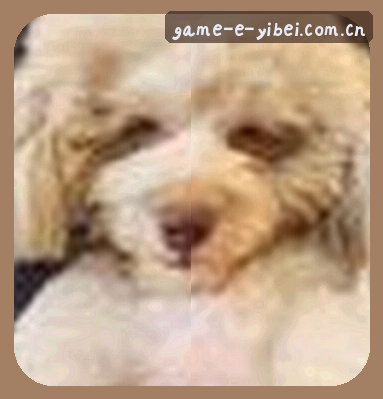 刘姐